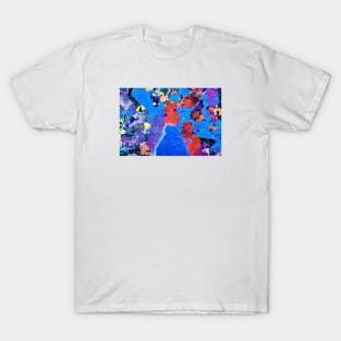 Colors of ephemeral art IV / Swiss Artwork Photography T-Shirt